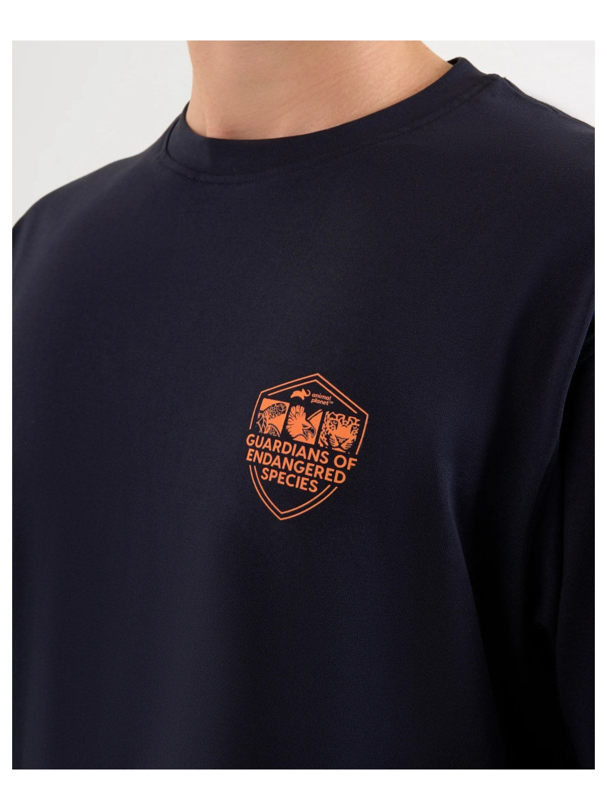 DISCOVERY Men’s Harpy Eagle Graphic Tee